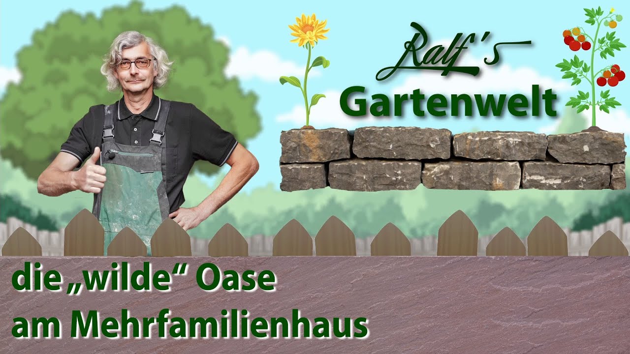 Die wilde Oase am Mehrfamilienhaus I Ralf´s Gartenwelt