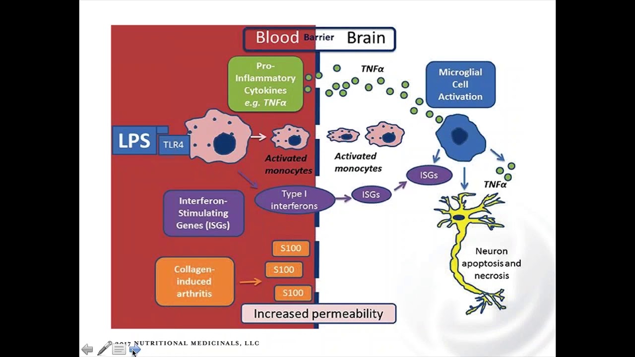 Identifying and Extinguishing Inflammation