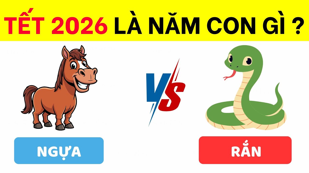 [Tết Là Tết đã Về] Đoán 25 Câu Hỏi Về Ngày TẾT Mà Bạn Nhất Định Phải Biết | Chan Đố Vui