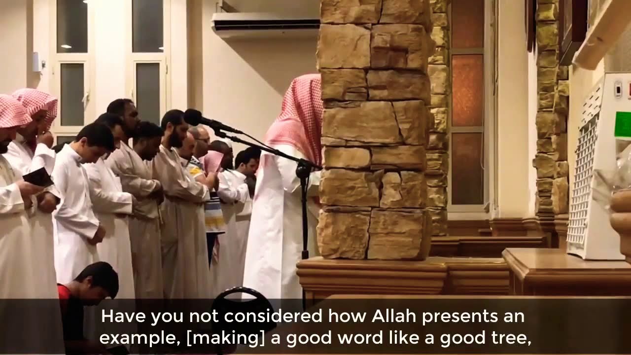 سورة إبراهيم ٢٤-٣٤ | عمير شميم