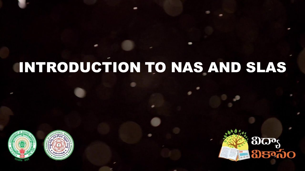 Introduction to NAS and SLAS (Part 1)