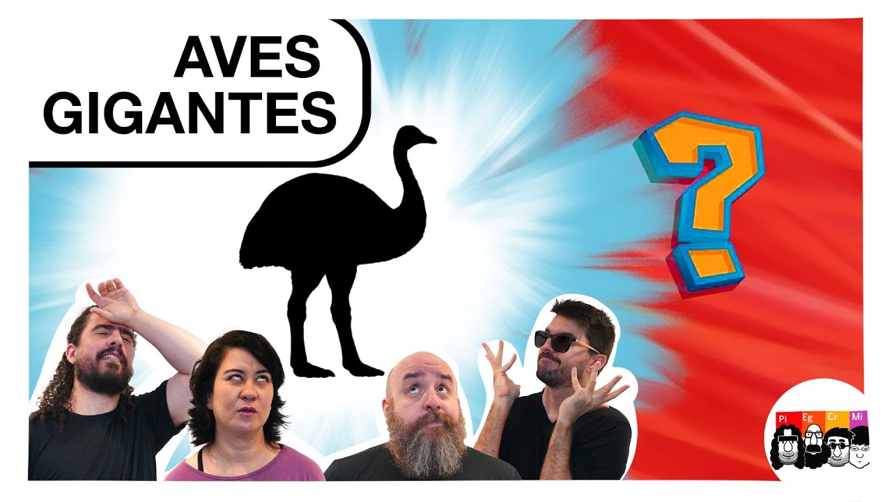 As MAIORES AVES da história da Terra