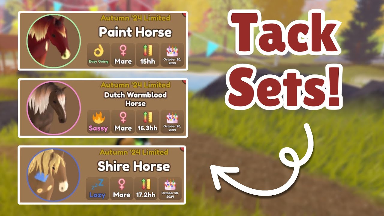 Making TACK SETS For the Autumn 2024 Event Horses! 🍁 | Wild Horse Islands