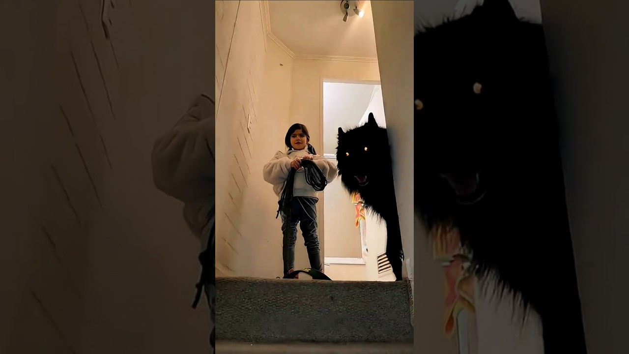Wildlife SHOCKING Animal Transformation! 💀 #animals #animallife #shorts