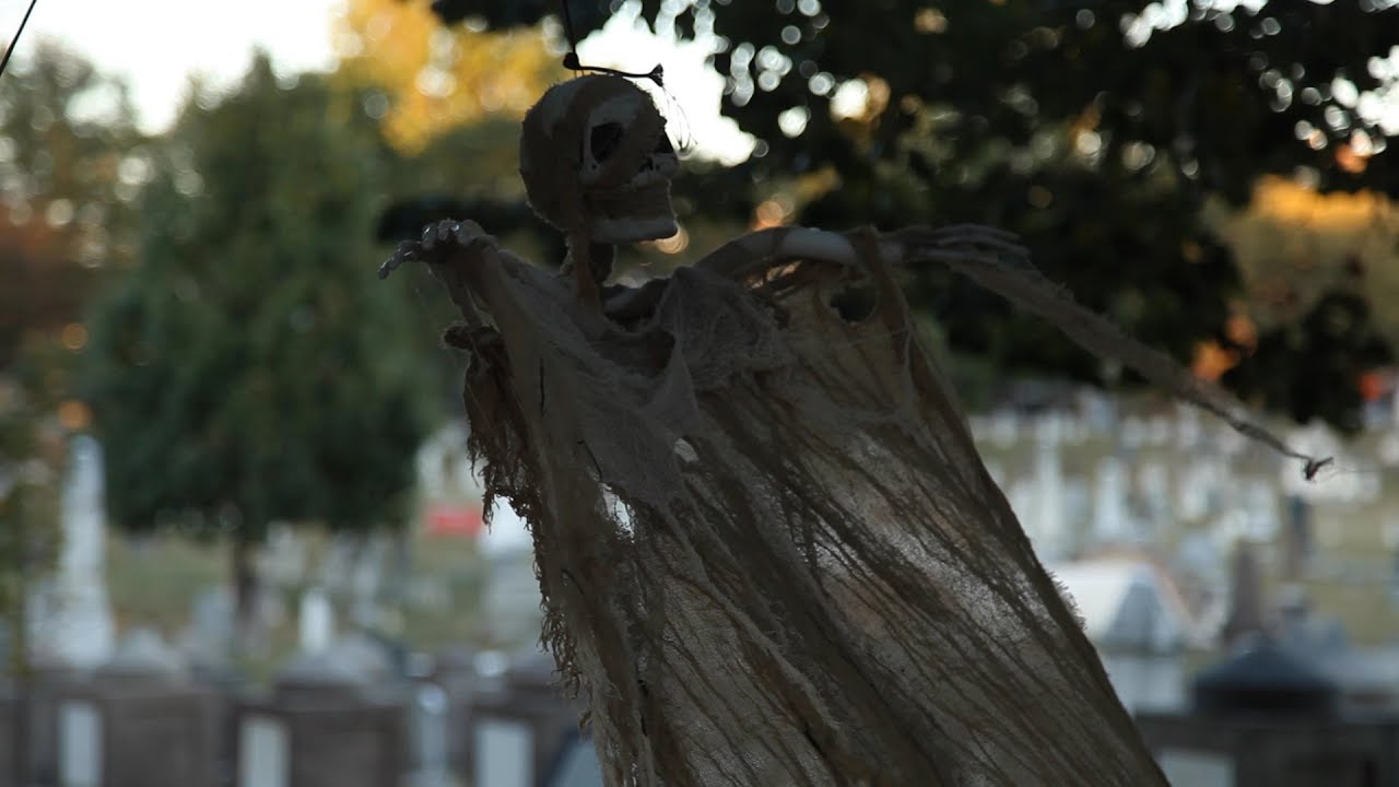 How you (and your pet!) can be buried at the Congressional Cemetery