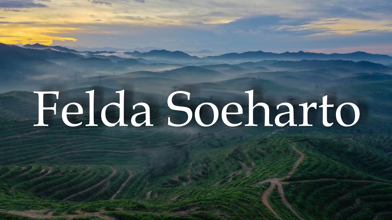 Misty Hills at Felda Soeharto