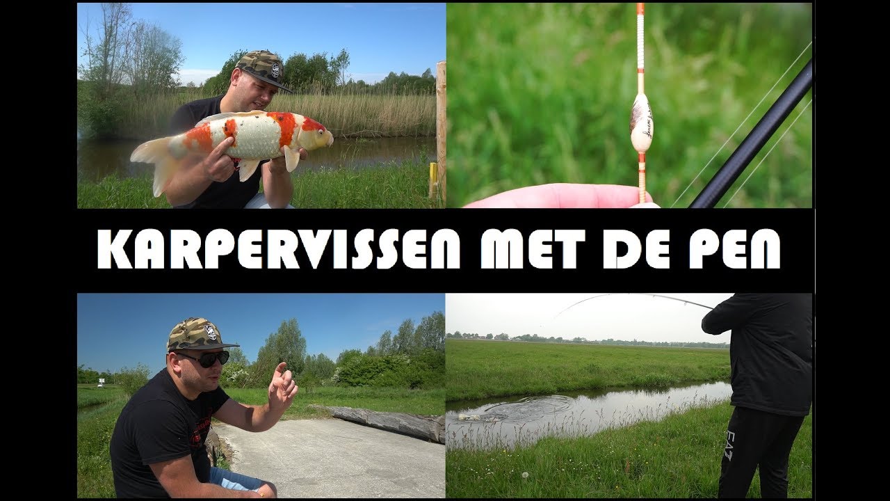 Karpervissen met de pen / dobber  ( karpervissen, carpfishing,  )