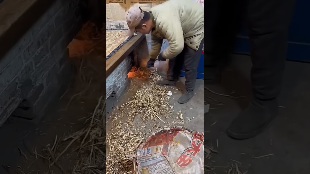 Why Homes in Rural China Don't Need Modern Heaters! 🤯