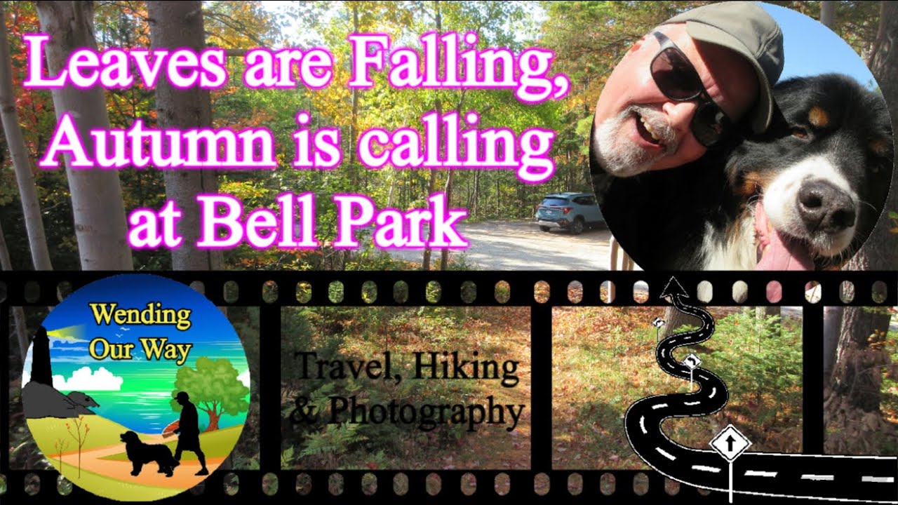 Leaves are Falling, Autumn is Calling at Bell Park | West Lake, Mount Uniacke, Nova Scotia, Canada