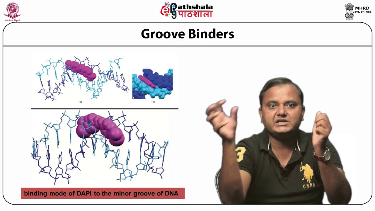 DNA-drug interactions and Action Spectra