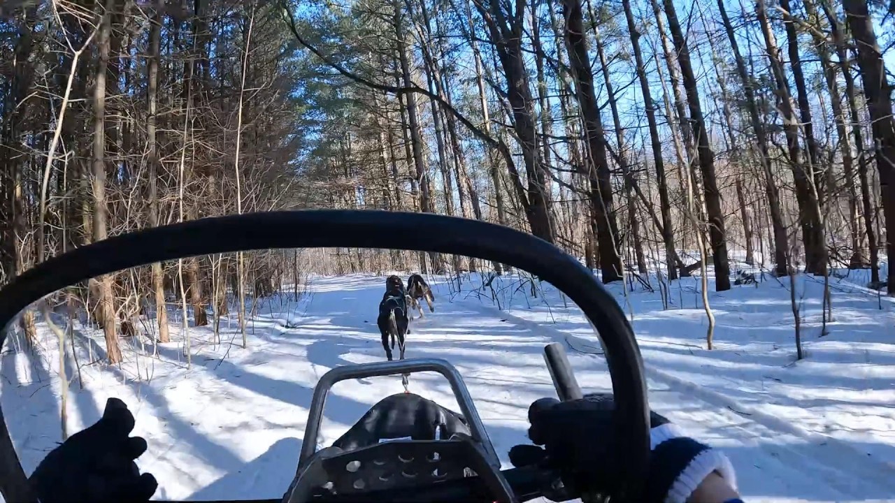 2026 Winter End Dogsled Run