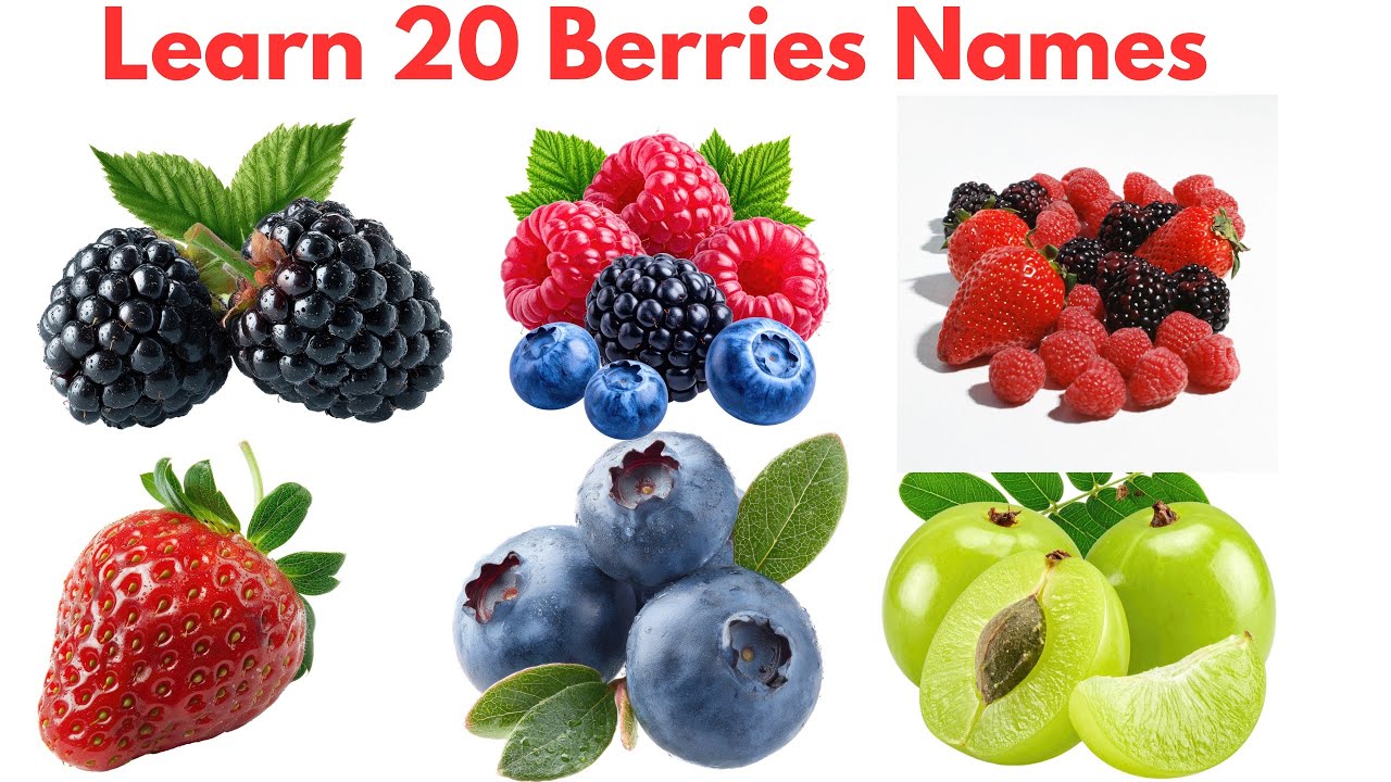Learn 20 Berries Names in English & Hindi | Fun Vocabulary for Kids 🍓🫐
