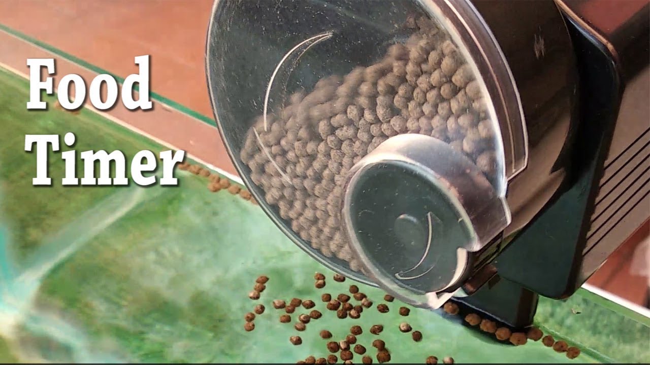 Food Timer