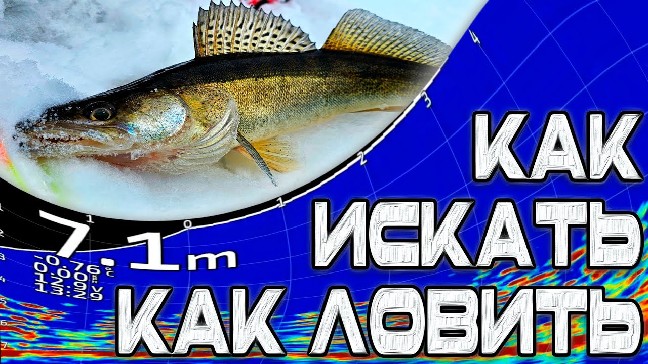 КАК ИСКАТЬ, КАК ЛОВИТЬ. ЛОВЛЯ СУДАКА С PANOPTIX