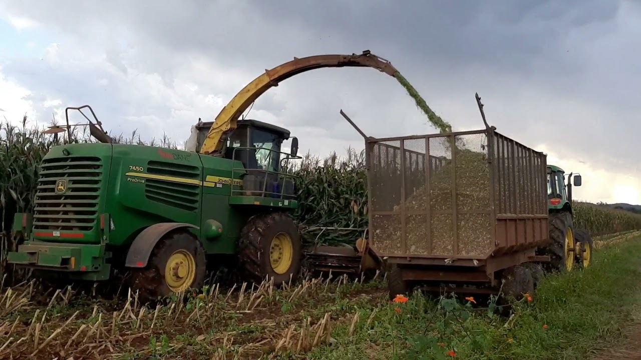 Farming Zimbabwe - Maize Silage and Cultivations 2021, Lions Den