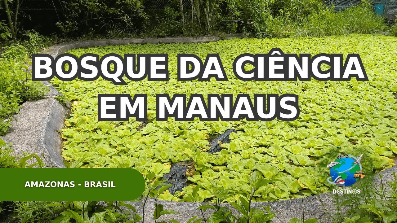 BOSQUE DA CIÊNCIA - INSTITUTO NACIONAL DE PESQUISAS DA AMAZÔNIA | Fronteiras e Destinos