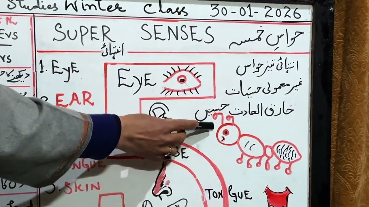 Super senses sst grade 5th