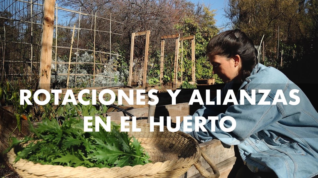Rotaciones y Alianzas en la Huerta | Nuestros planes para la Temporada