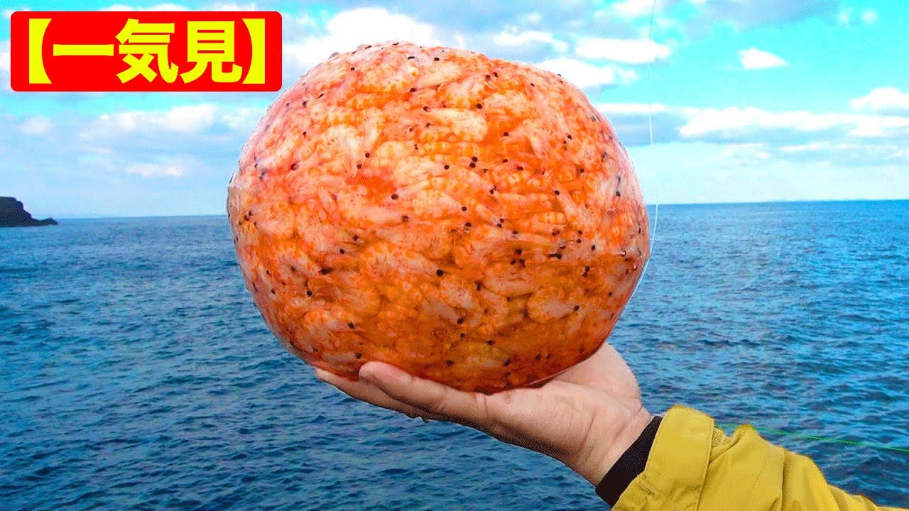 【一気見】エビ集合体ボール投下したら巨大魚ヒットで大パニック【沖縄１熱い磯で大物狙い！】