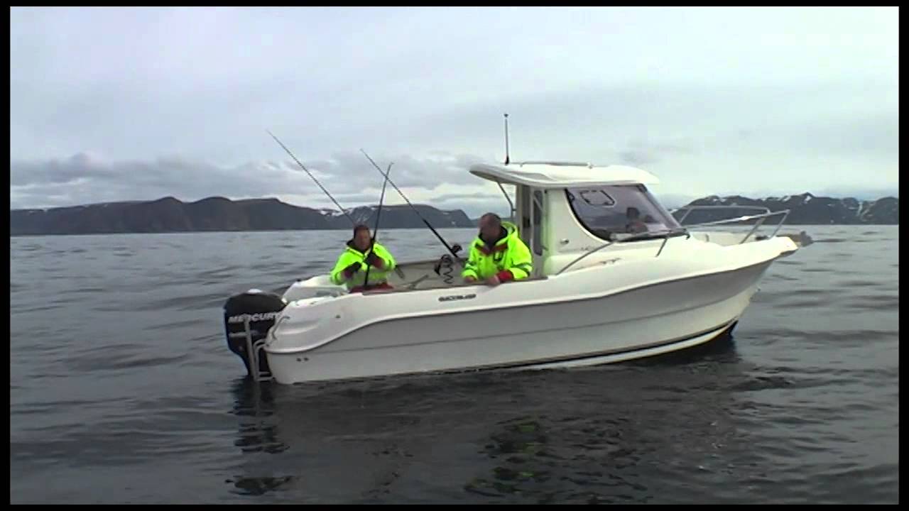 Heilbutt 32 Kilo Gjesvear