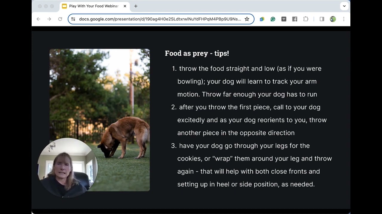 FDSA Webinar Denise Fenzi Play with Your Food: Food Games that Build a Go and a Stop