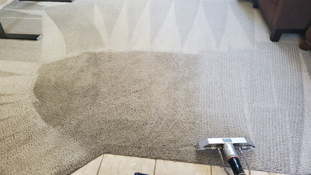 30 Year Old Heavily Soiled Carpet Hasn't been Cleaned in 12 Years!