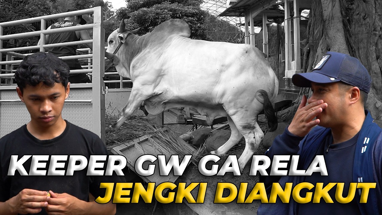 KEEPER GW BERAT MELEPAS JENGKI PULANG KAMPUNG!