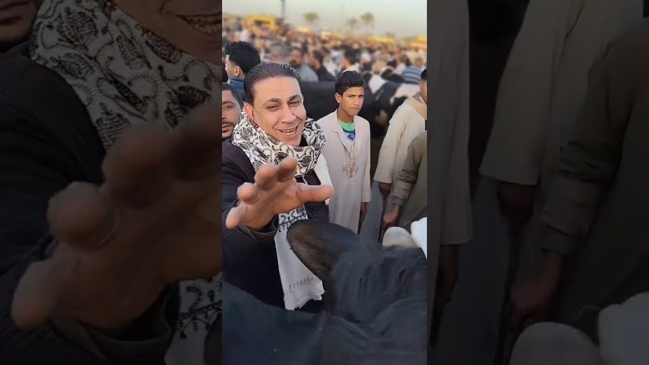 اسطوره دبابات اللحم البقري في سوق دمنهور
