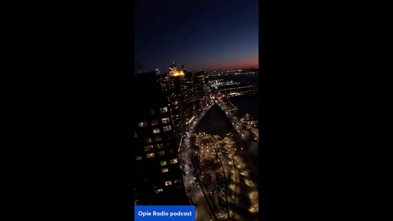 LIVE Frozen Hudson River nyc 📱