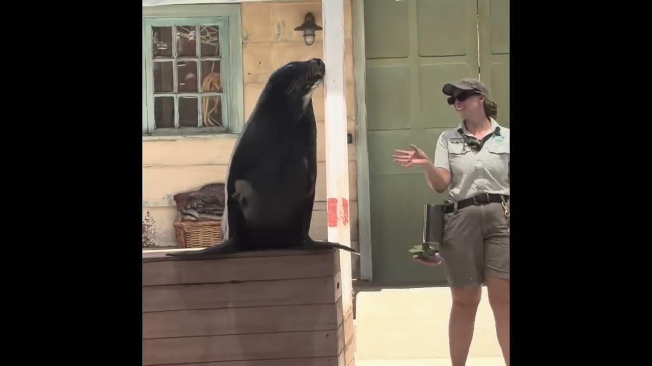 Taronga Zoo Sydney         December 2026