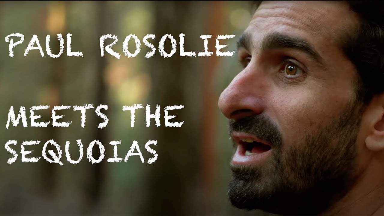 Paul Rosolie Loses his mind when he sees SEQUOIAS