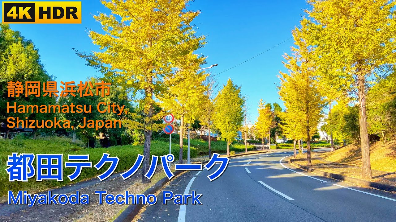 静岡県浜松市都田テクノパーク紅葉道路 (4K HDR) Autumn Leaves in Miyakoda Techno Park. Hamamatsu City, Shizuoka, Japan