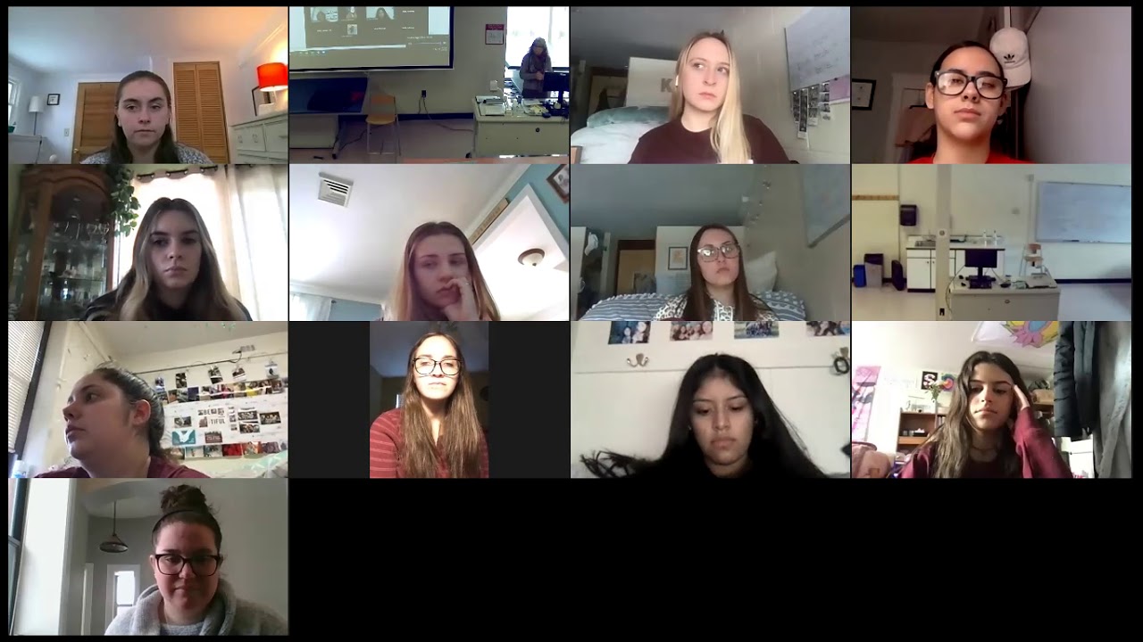 Virtual Accepted Student Event - Occupational Therapy - survey class, February 2021