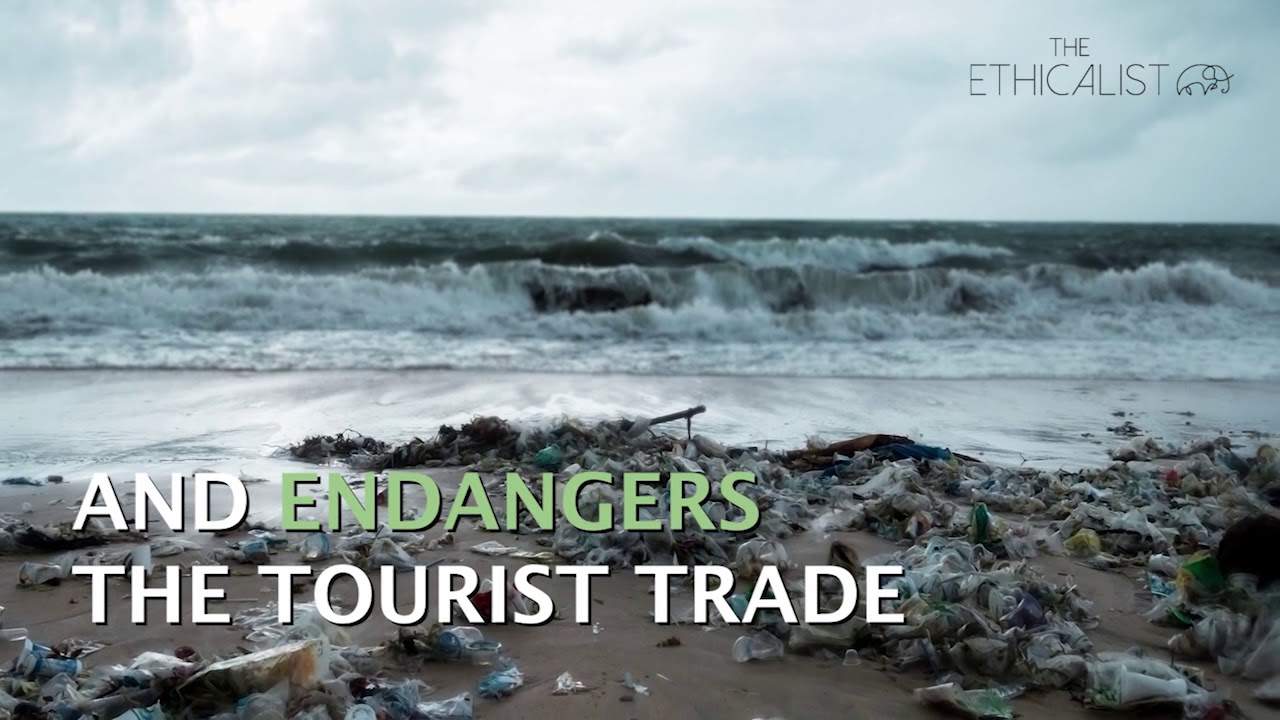 Bali Beach Pollution