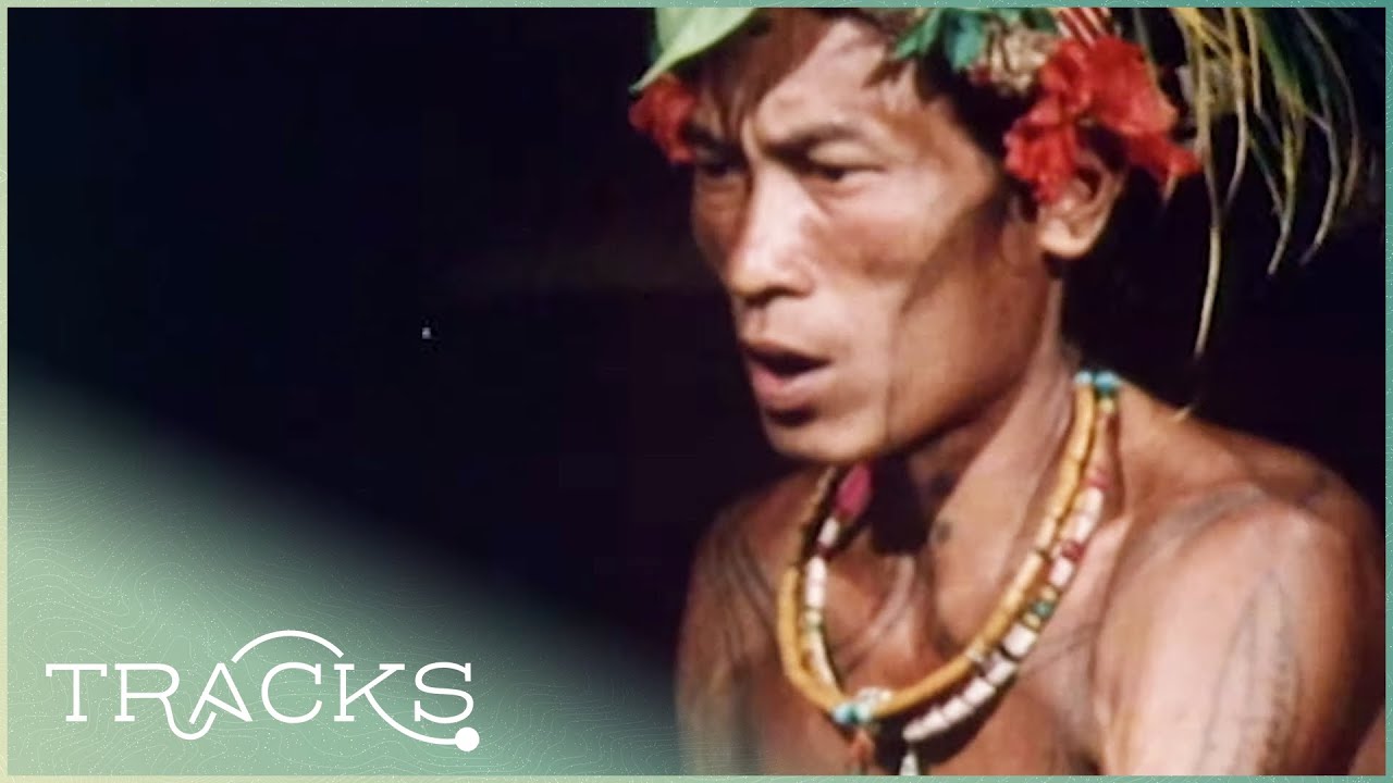 The Sakuddei: Indonesia's Threatened Tribe | Disappearing World