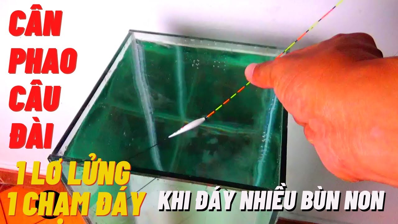 Hướng dẫn cách cân phao câu đài 1 viên lơ lửng 1 viên chạm đáy cho đáy hồ nhiều bùn non
