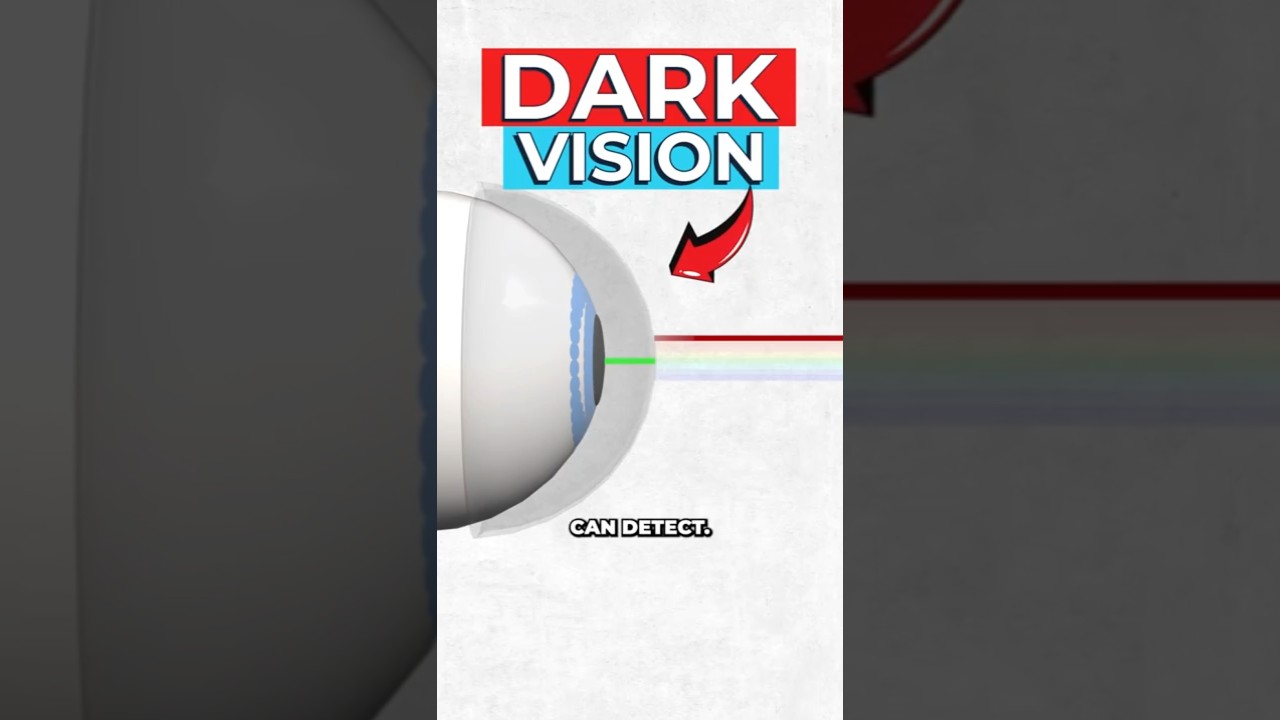 Scientists Create Contact Lens To See In the Dark