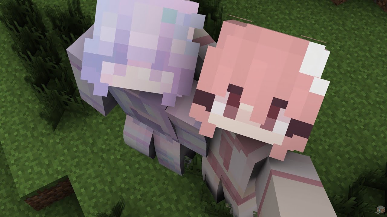 After everything... | Bedwars Montage