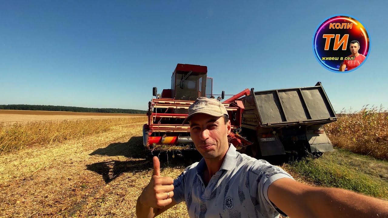 Майже не підвела😄👌Розпочали жнива сої Аполло🔥врожай радує❗️