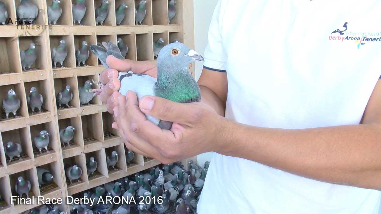 FINAL RACE Derby ARONA-TENERIFE 2016