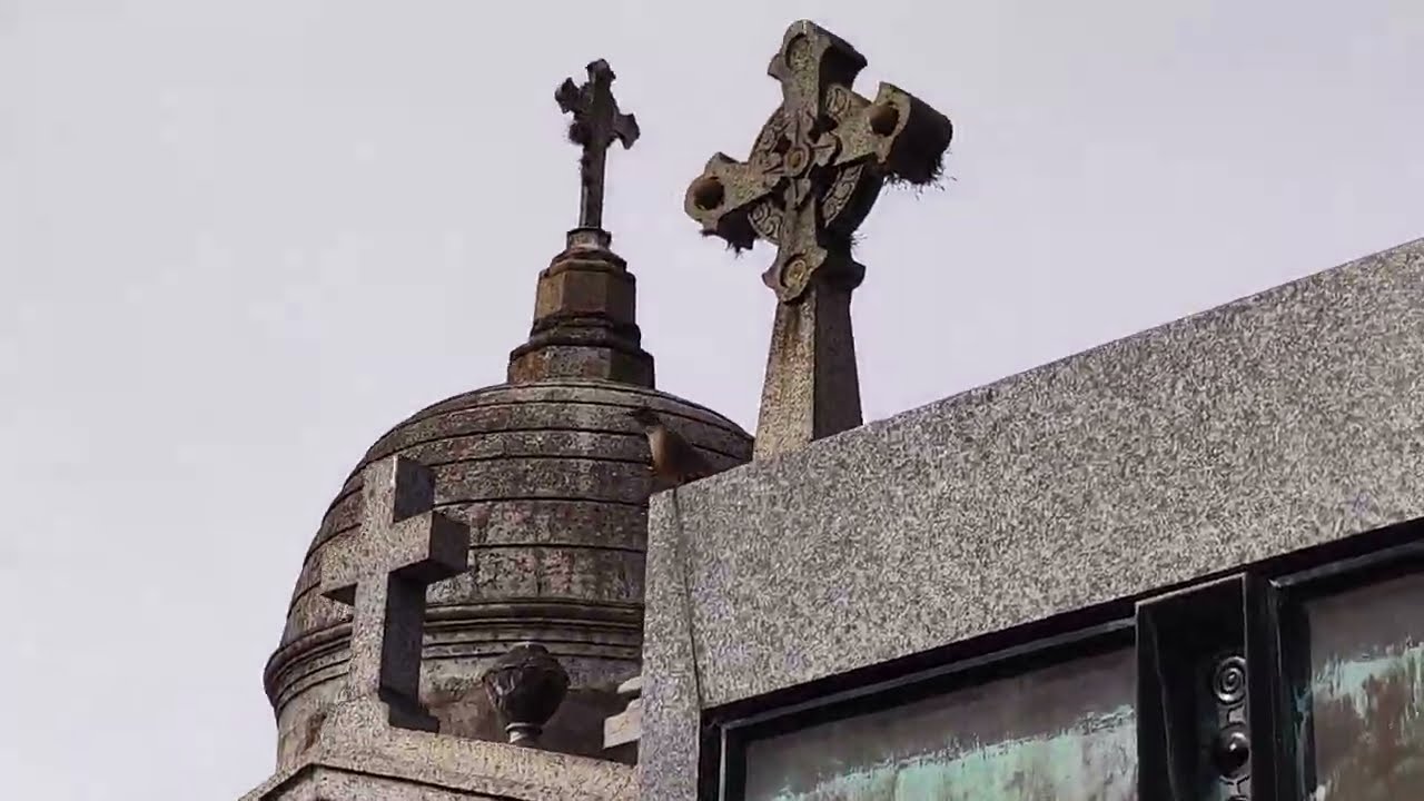 CEMENTERIO DE RECOLETA / BUENOS AIRES - ARGENTINA         [Paseo con Guia]