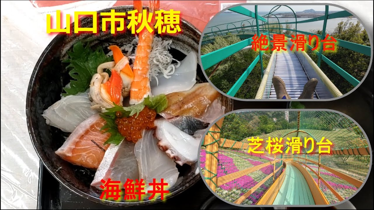 山口市秋穂を中心に巡りました。大海の【海鮮丼】セミナーパークの【芝桜】藤尾山公園の【絶景滑り台】吉敷畑の【芝桜】が素晴らしかった。