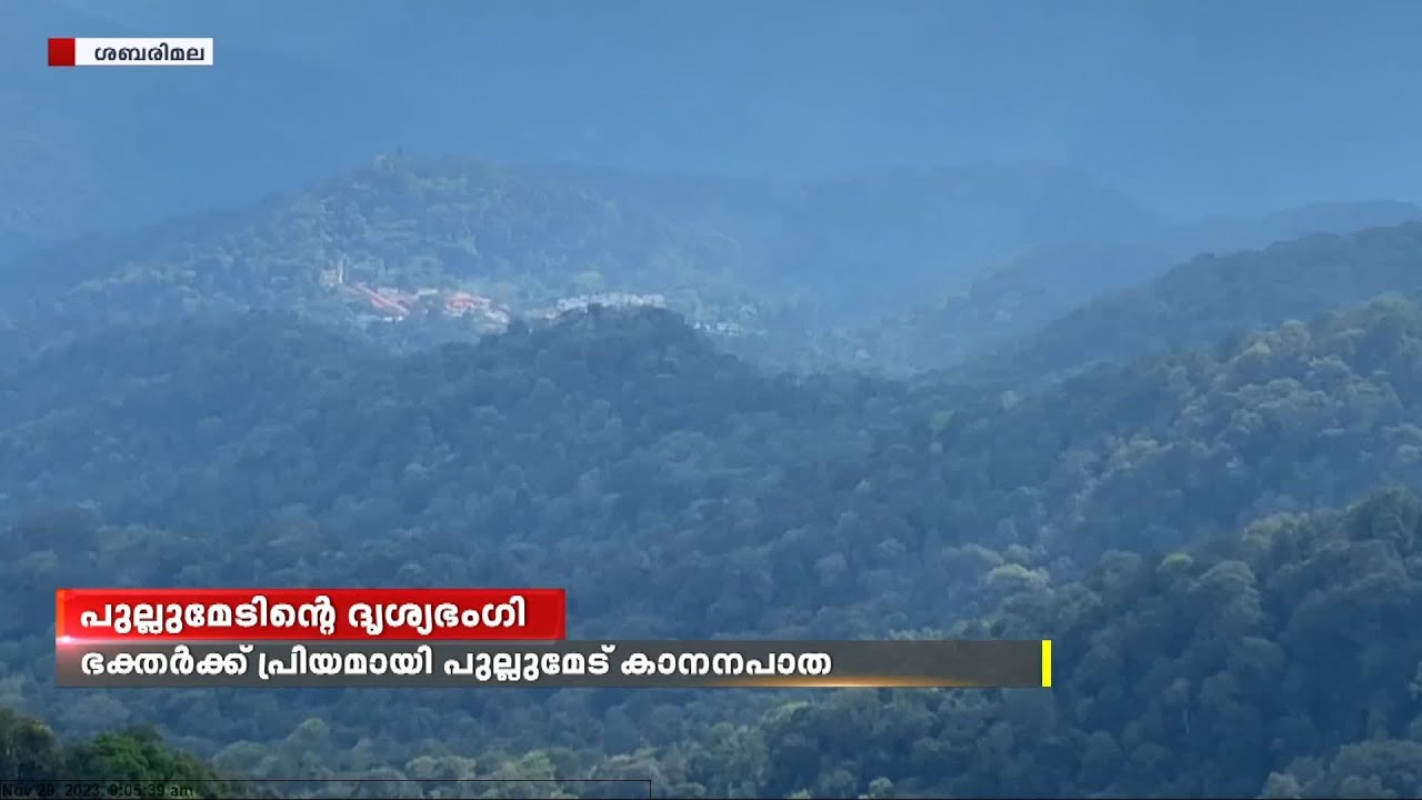പ്രകൃതിഭംഗിയും സാഹസികതയും ആകർഷണമായ പുല്ലുമേട് കാനനപാത യാത്ര |   Pullumedu Sabarimala
