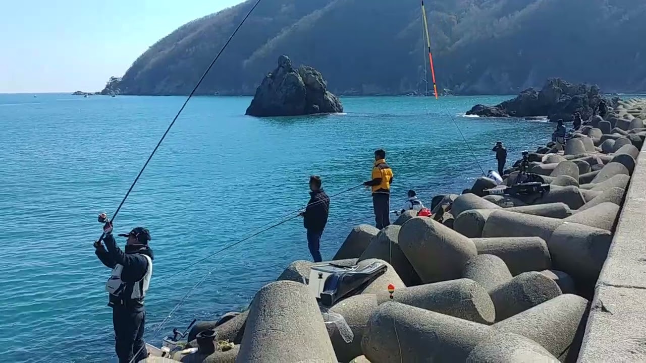 부산 가덕도 새바지  Busan Gadeokdo Daehang Saebagi Breakwater Hanghak Saury Fishing