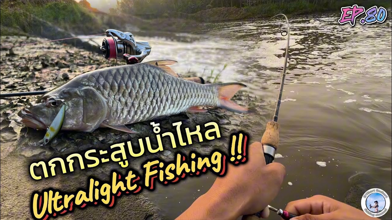 EP.80 ตกปลากระสูบน้ำไหล Ultralight Fishing !! @rchartsuchart #ตกปลากระสูบ #UL #ชาติปลาเกลือ