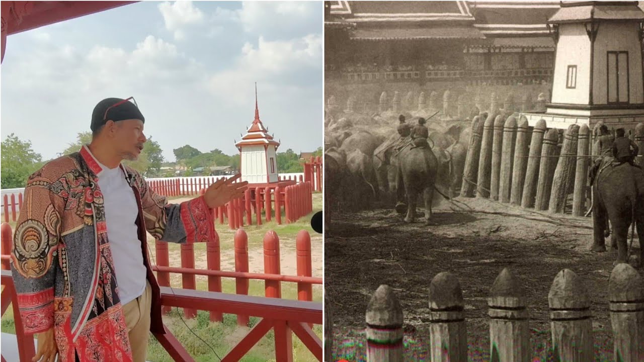 คล้องช้างมะหึมามหรสพ!...@ เพนียดคล้องช้าง ต่อหน้าพระมหากษัตริย์สมัยอโธยา