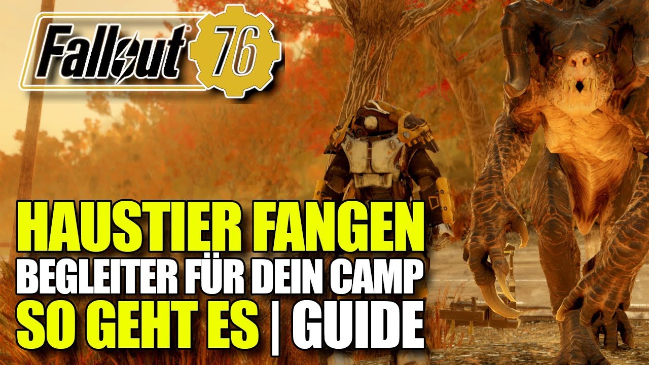 Haustier Zähmen und Fangen | Begleiter für dein CAMP Guide | Fallout 76