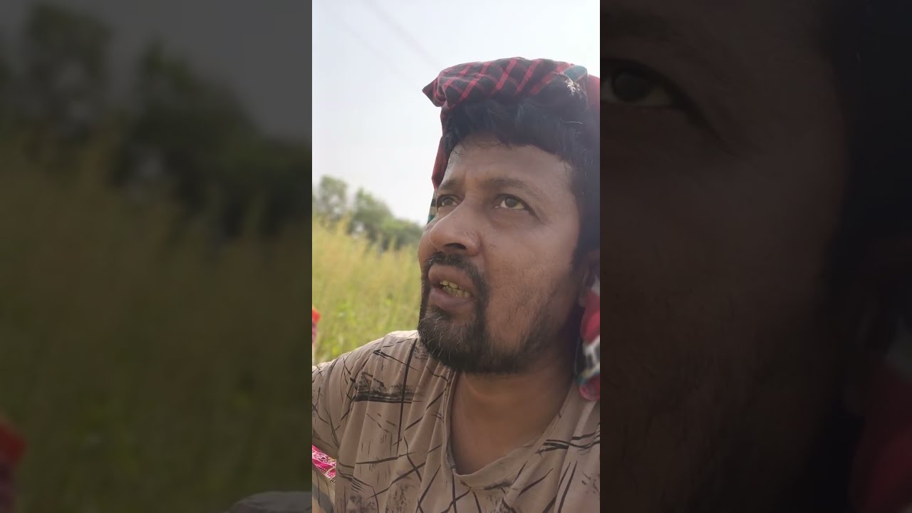 কাতার প্রবাসী দেশে এসে এখন কাজ করি। 