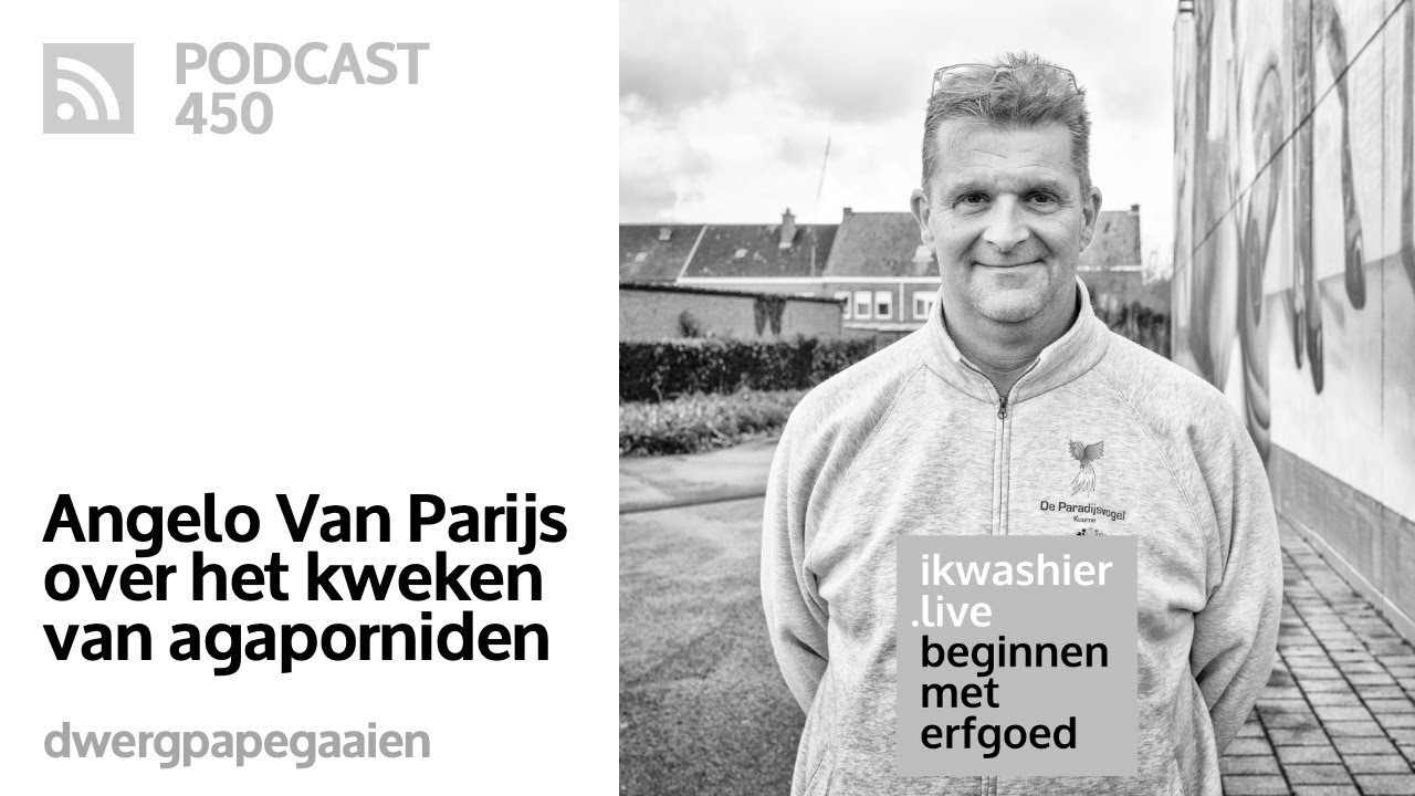Kweken van agaporniden of dwergpapegaaien - Angelo Van Parijs - Beginnen met erfgoed 450