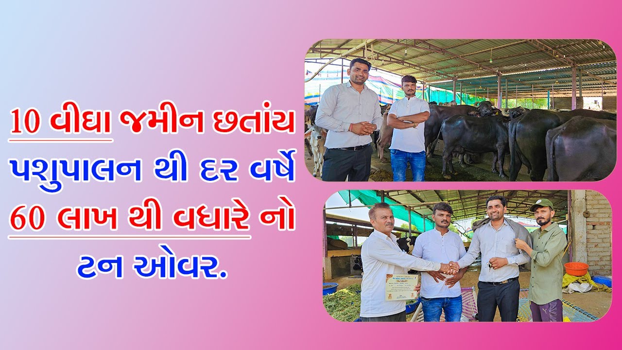 10 વીઘા જમીન છતાંય પશુપાલન થી દર વર્ષે 60 લાખ થી વધારે નો ટન ઓવર.